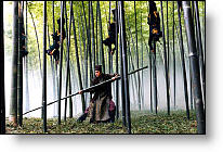 Copyright, Sony Pictures Classics