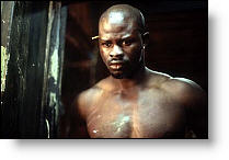 Copyright, Fox Searchlight