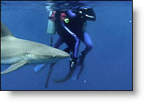 Copyright, Lions Gate Films