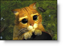 Copyright, DreamWorks Pictures