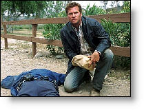 Copyright, Warner Bros.