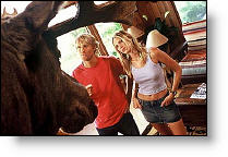 Copyright, Warner Bros.