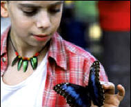 Copyright, Alliance Atlantis Communications