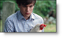 Copyright, Strand Releasing