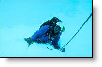 Copyright, IFC Films