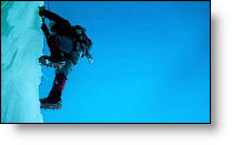 Copyright, IFC Films