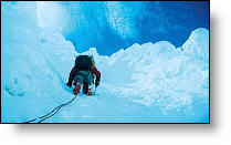 Copyright, IFC Films