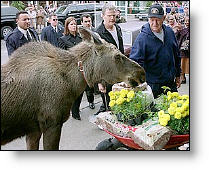 Copyright, 20th Century Fox