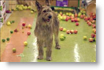 Copyright, 20th Century Fox