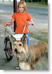 Copyright, 20th Century Fox