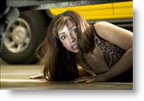 Copyright, Dimension Films