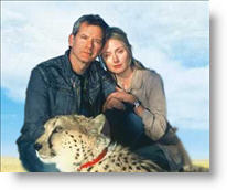 Copyright, Warner Bros.