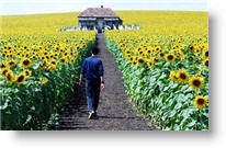 Copyright, Warner Independent Pictures