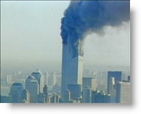 Copyright, Grizzly Adams Productions