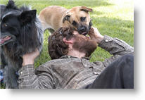 Copyright, Innovation Film Group