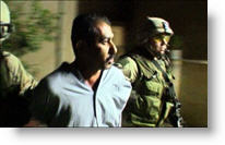 Copyright, Palm Pictures