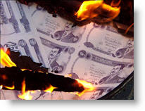 Copyright, Palm Pictures