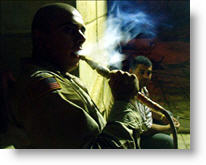 Copyright, Palm Pictures