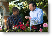 Copyright, Lions Gate Films