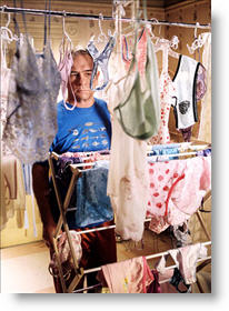 Copyright, Revolution Studios