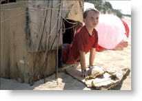 Copyright, Fox Searchlight