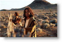 Copyright, Miramax Films