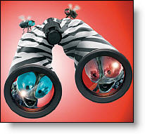 Copyright, Warner Brothers