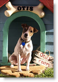 Copyright, New Line Cinema