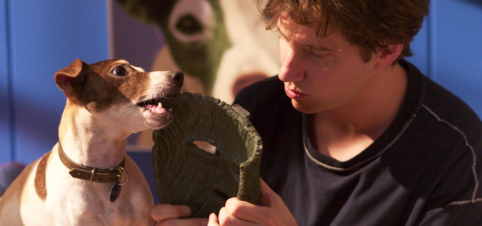 Copyright, New Line Cinema, division of Warner Bros. Pictures