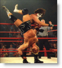 Copyright, Willow Creek Marketing