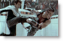 Copyright, Rogue Pictures