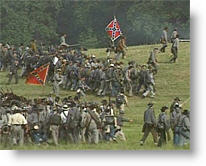 Copyright, New Liberty Videos