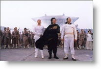 Copyright, Miramax Films