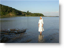 Copyright, ThinkFilm