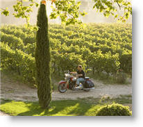 Copyright, 20th Century Fox