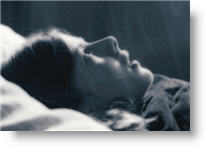 Copyright, Freestyle Releasing LLC