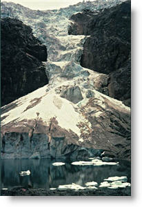 Copyright, Paramount Classics