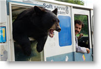 Copyright, Twentieth Century-Fox Film Corporation