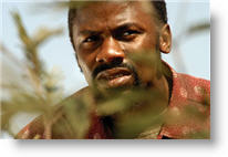 Copyright, Focus Features, Universal Pictures International