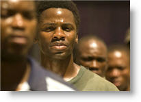 Copyright, Focus Features, Universal Pictures International