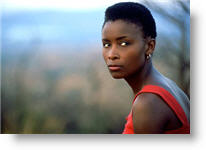 Copyright, Focus Features, Universal Pictures International