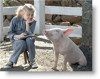 Copyright, Paramount Pictures