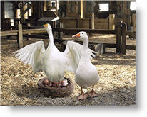 Copyright, Paramount Pictures