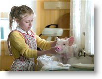 Copyright, Paramount Pictures