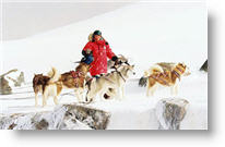 Copyright, Walt Disney Pictures