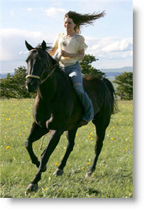 Copyright, Twentieth Century-Fox Film Corporation