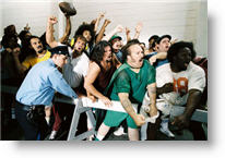 Copyright, Buena Vista Pictures Distribution