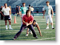 Copyright, Buena Vista Pictures Distribution