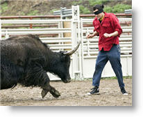 Copyright, Paramount Pictures