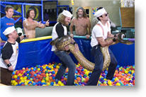 Copyright, Paramount Pictures